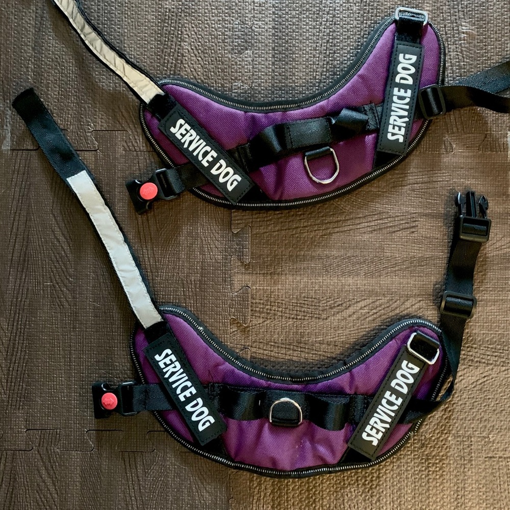 Service dog harnesses pair